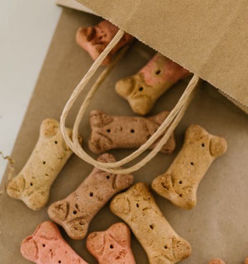 Pet Products - A Paper Bag with Dog Treats on a Brown Table