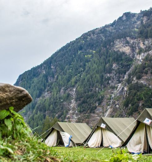 Tents - White and Brown Tent Camps