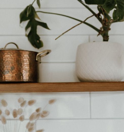 Cookbooks - Wooden Shelves Mounted on the Wall