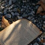 Poetry Readings - Page of a Book in a Forest