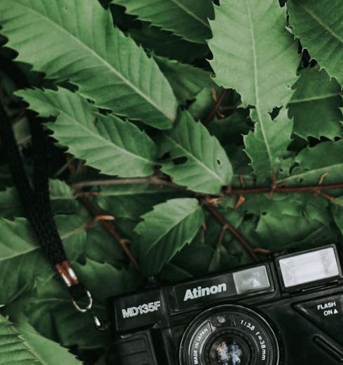 Eco-Friendly Gadgets - Camera Lying among Leaves