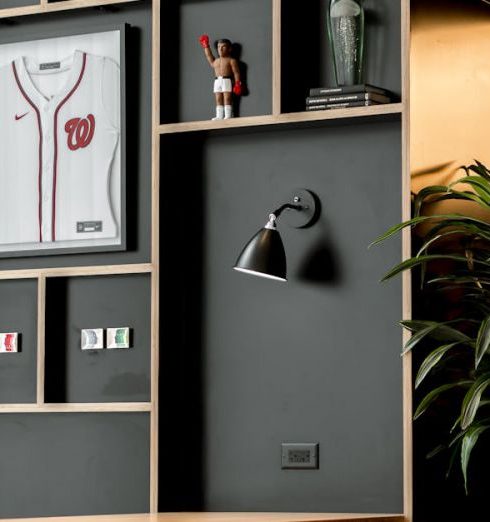 Sports Memorabilia - Design of a Indoor Shelves