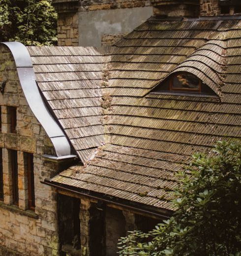 Restoration - An Old Building in a Forest