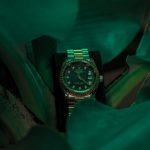 Luxury Brands - A Rolex Surrounded by Leaves