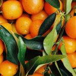 Produce - Photo of Pile Of Oranges