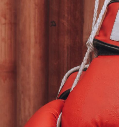 Boxing Equipment - Red Boxing Gloves 