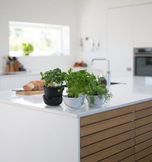 Kitchen - Green Leafed Plants On Kitchen Island