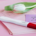 Expectations - A positive pregnancy test, tulip, and calendar on a pink surface symbolize new beginnings.