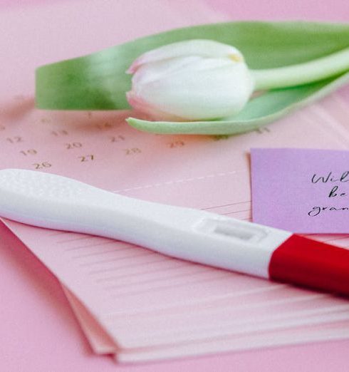 Expectations - A positive pregnancy test, tulip, and calendar on a pink surface symbolize new beginnings.