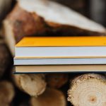 Resources - Books placed on edge of freshly prepared woodpile in backyard of countryside house