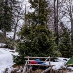 REITs - Winter Camping in Reit im Winkl Forest