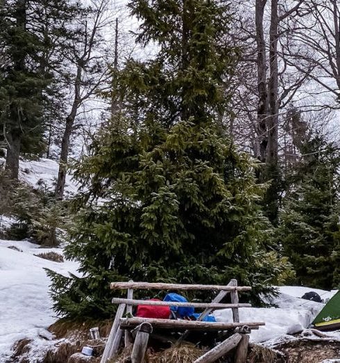 REITs - Winter Camping in Reit im Winkl Forest