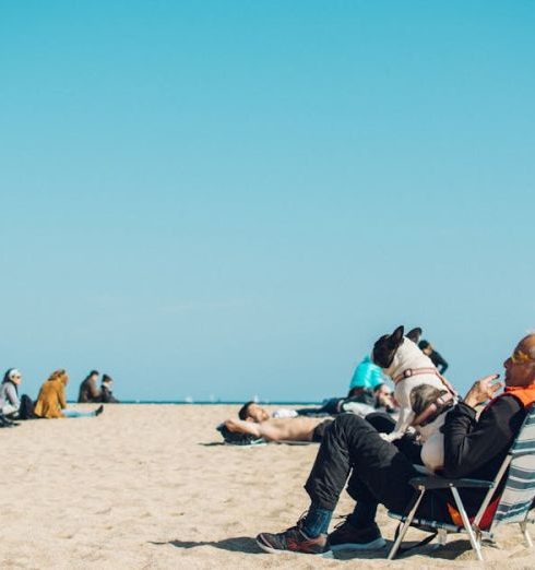 Retirement - Elderly man with dog enjoying a sunny day at the beach in Barcelona, Spain.