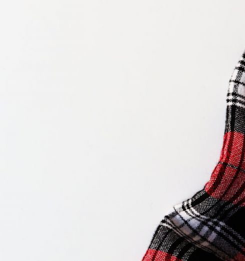 Background Checks - Close-up of red plaid flannel fabric on a white background, showcasing texture and pattern.