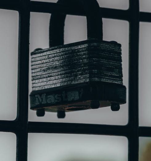 Risk Mitigation - Close-up image of a padlock hanging on a grating fence with a blurred outdoor background.