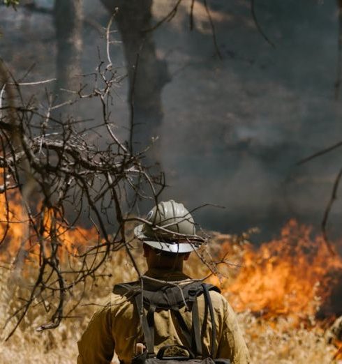 Risk Assessment - A firefighter facing a forest fire with dry foliage, highlighting the challenges of combating natural disasters.