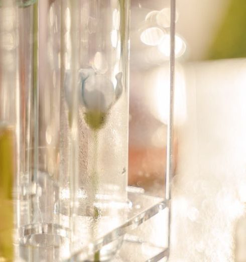 A/B Testing - Sunlit outdoor setup with glass bottles and test tubes, ideal for lab-related themes.