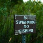 Environmental Regulations - Wooden Sign Near Lake That Forbids Fishing and Swimming