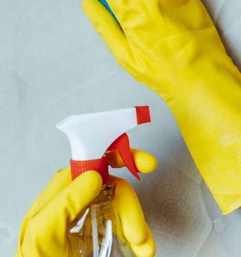 Cleaning Tips - Cleaning Walls with Sponge and Spray Bottle