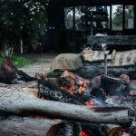 Fire Pit Seating - Stone fire pit with burning firewood and charcoal placed on grassy courtyard of residential house with tall trees in countryside