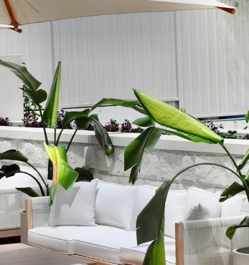 Outdoor Sofas - Outdoor Cafeteria at Luxury Hotel