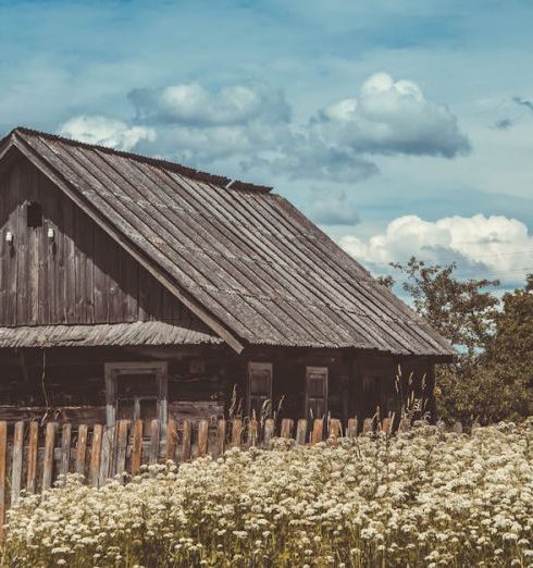 Farmhouse Look - A rustic wooden cabin surrounded by a wildflower meadow under a cloudy sky.