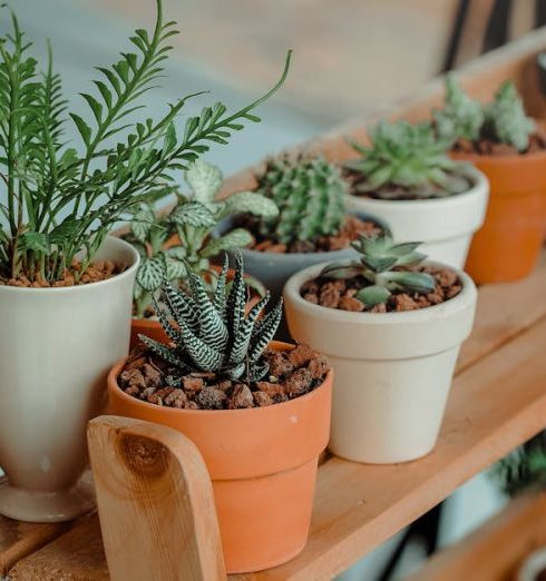 Pots - Green Indoor Potted Plant Lot