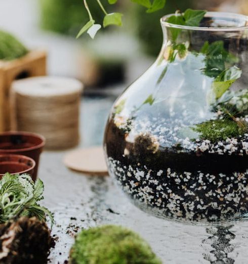 Self-Watering Pots - Green Plants Inside a Terrarium