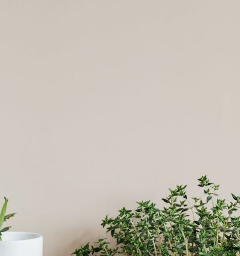 Potted Herbs - Stylish Scandinavian interior design with thyme herb in clay pot and green leaf in white vase placed on marble stand against wall