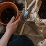 Repotting - Person Holding Brown Plastic Pot