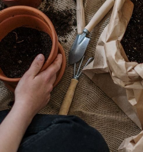 Repotting - Person Holding Brown Plastic Pot