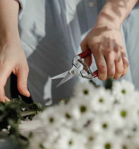 Pruning - Person in White Dress Shirt Holding Silver and Red Scissors