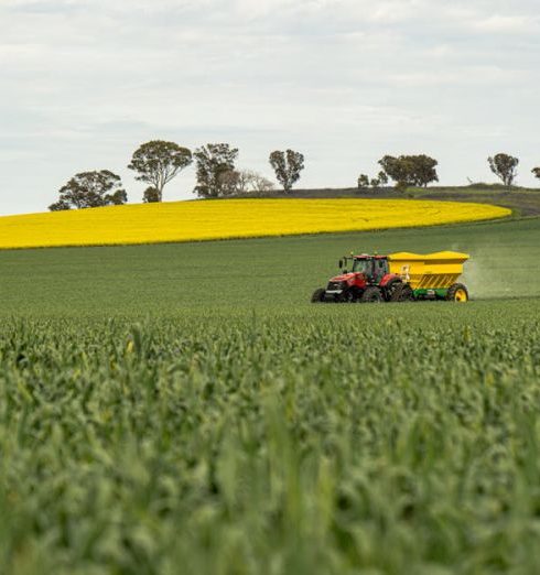 Fertilizing - Tractor with Spreader on Canola Field