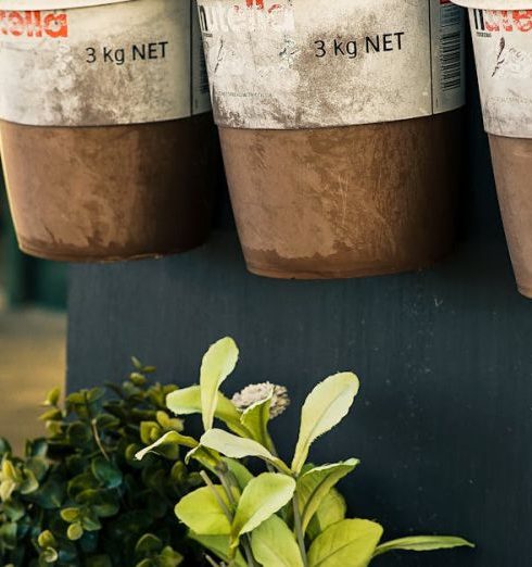 Herb Garden - Six Potted Plants Close-up Photo