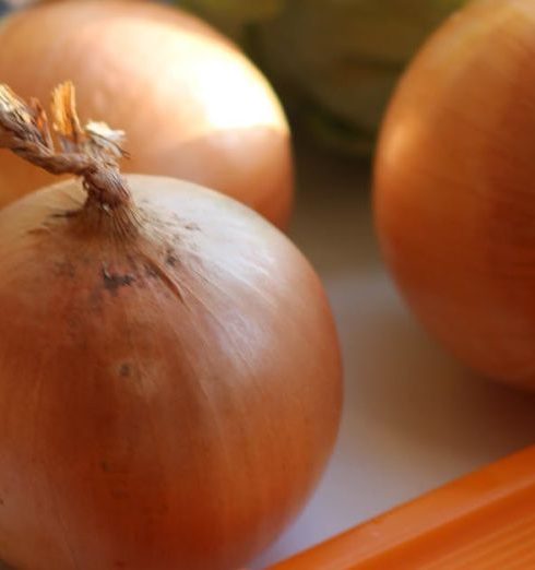 Mandoline Slicer - Close-Up Shot of Onions