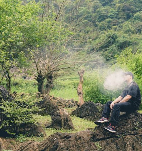 Spring Refresh - A person enjoying a peaceful moment in a lush, green forest setting.