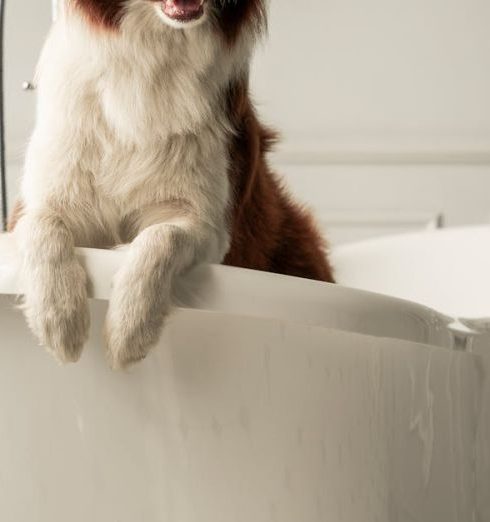 Clawfoot Tub - A Furry Dog in a Bathtub