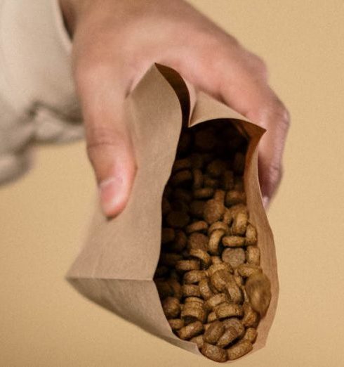 Pet Supplies - A Person Pouring Dog Food on the Bowl