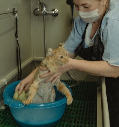 Cleaning Pet Hair - Woman in Blue Button Up Shirt Holding Brown Short Coated Dog