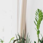 Houseplants - Green Plants on Brown Clay Pot