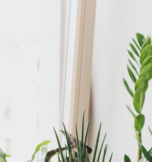 Houseplants - Green Plants on Brown Clay Pot