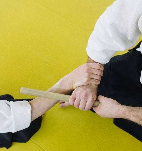 Training - Two Men Practicing Aikido