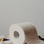 Litter Box - White Toilet Paper Roll