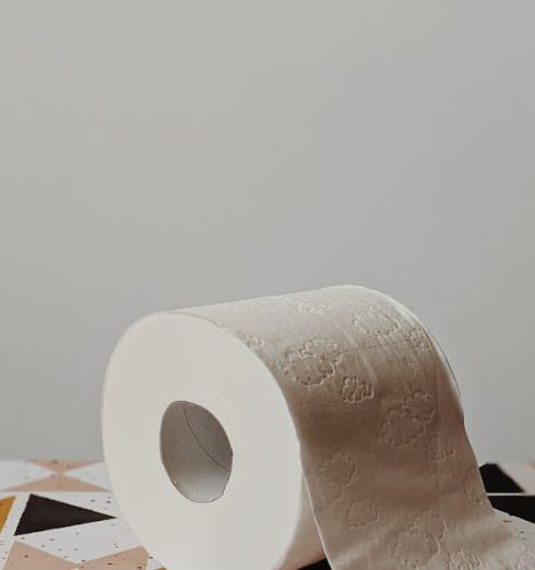 Litter Box - White Toilet Paper Roll