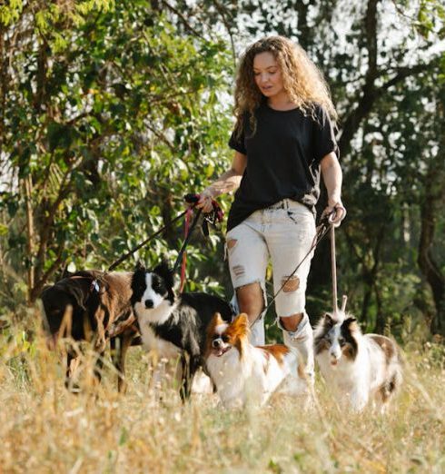 Multiple Pets - Woman with dogs walking on grassy terrain