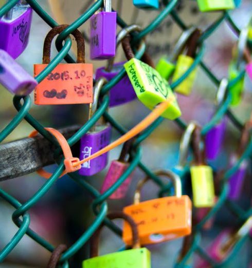 Outdoor Fences - Green Chain-link Fence With Assorted-color Padlocks