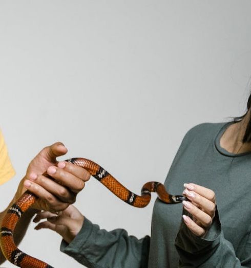 Pet Anxiety - A Fearful Woman Having Ophidiophobia while Standing next to a Man Who's Holding a Snake