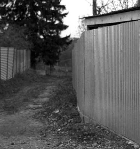 Detached Garages - Black and White Picture of Dog Sitting on Ground Road