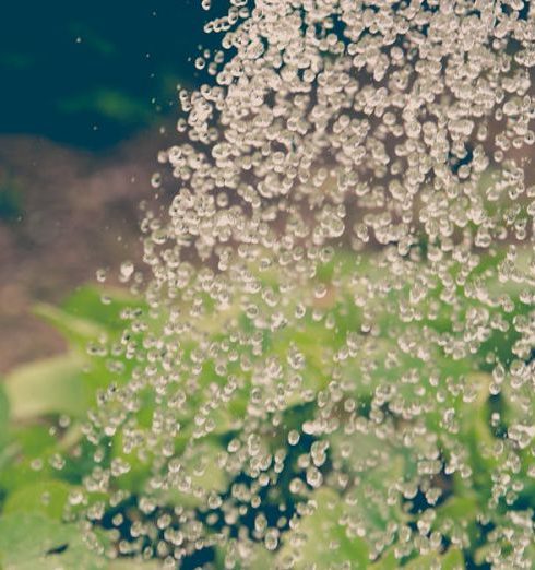 Watering - White Flowers With Green Leaves