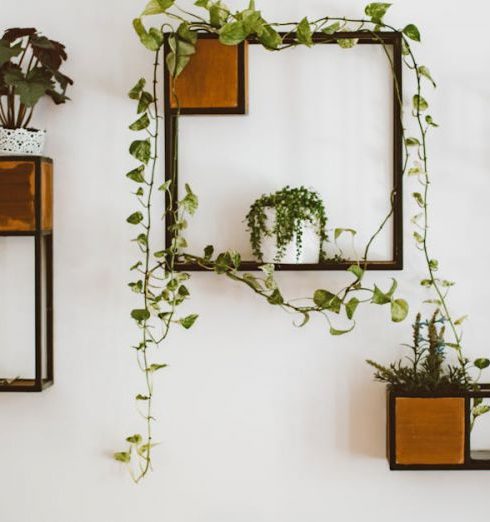 Wall-Mounted Shelves - Arrangement of Houseplants on Shelves on the Wall